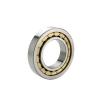 NJ322 WC3 NSK Cylindrical Roller Bearings #1 small image